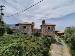 Frigano 1